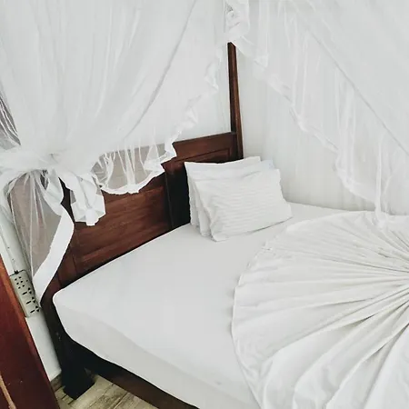 Alovera Inn Weligama Extérieur photo